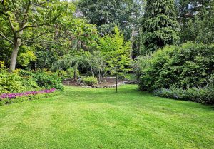 Optimiser l'expérience du jardin à Ploezal